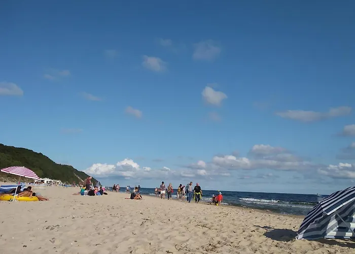 In Near & Lagoon * Dziwnówek